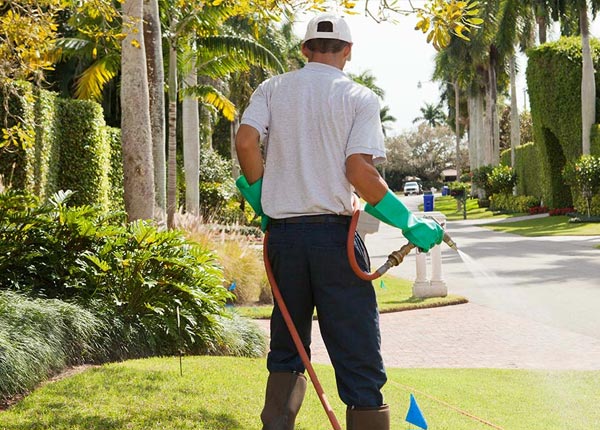About Timber OR Pest Control Pros